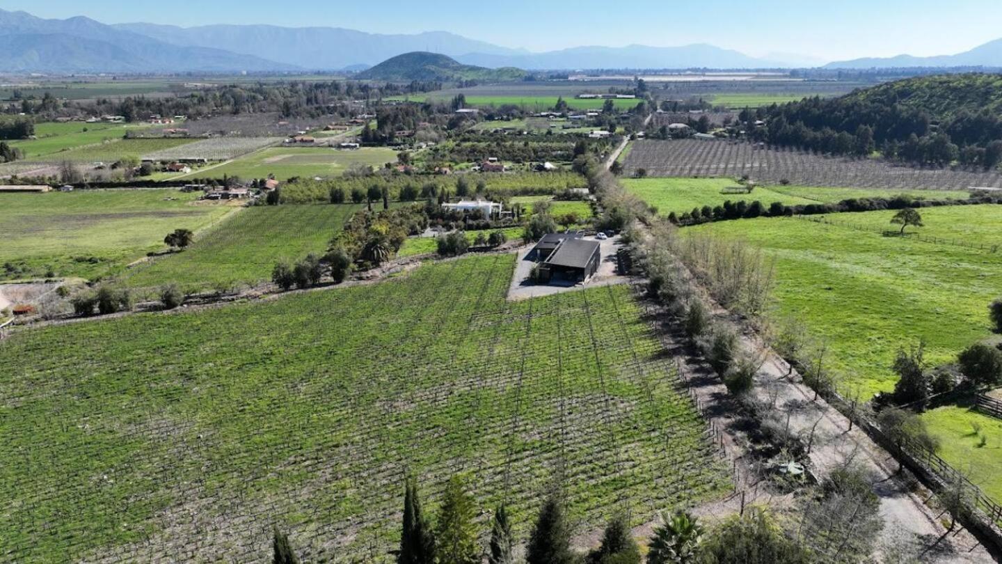 Vina Lof - Maipo Valley Bed & Breakfast In Winery Paine Exteriör bild