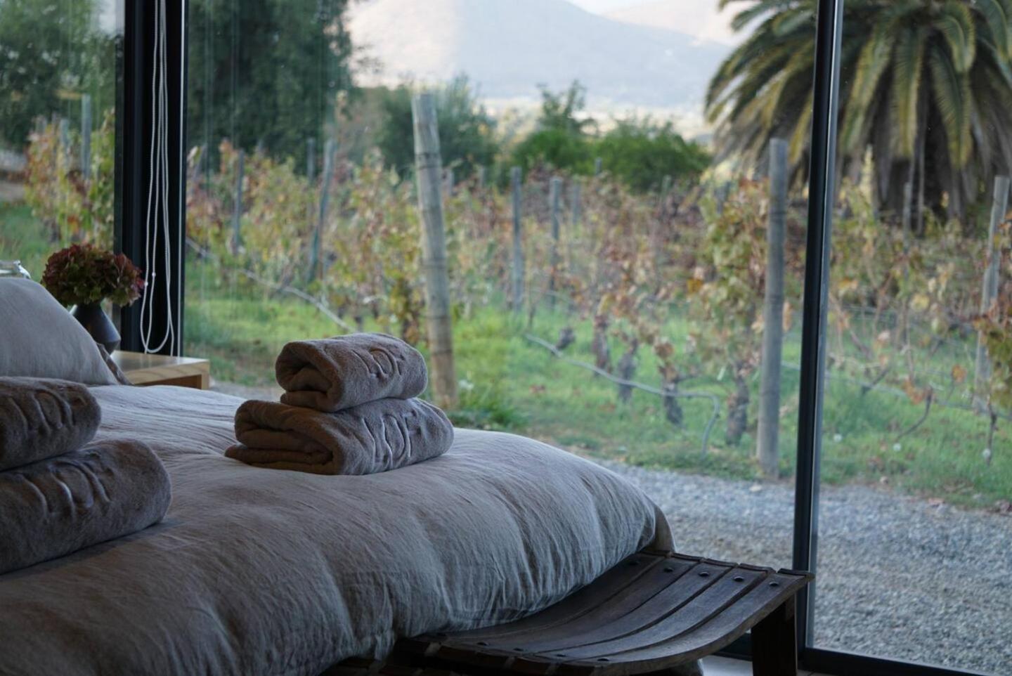 Vina Lof - Maipo Valley Bed & Breakfast In Winery Paine Exteriör bild