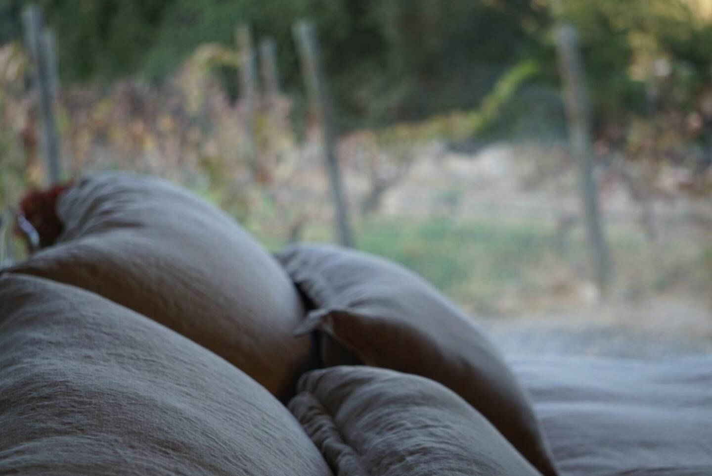 Vina Lof - Maipo Valley Bed & Breakfast In Winery Paine Exteriör bild