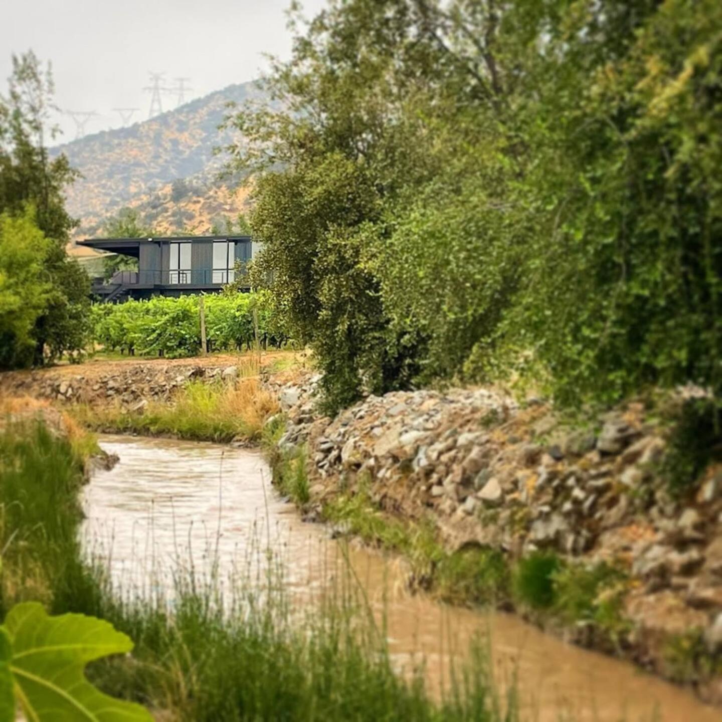 Vina Lof - Maipo Valley Bed & Breakfast In Winery Paine Exteriör bild