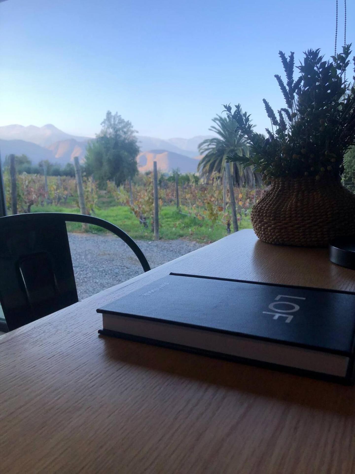 Vina Lof - Maipo Valley Bed & Breakfast In Winery Paine Exteriör bild
