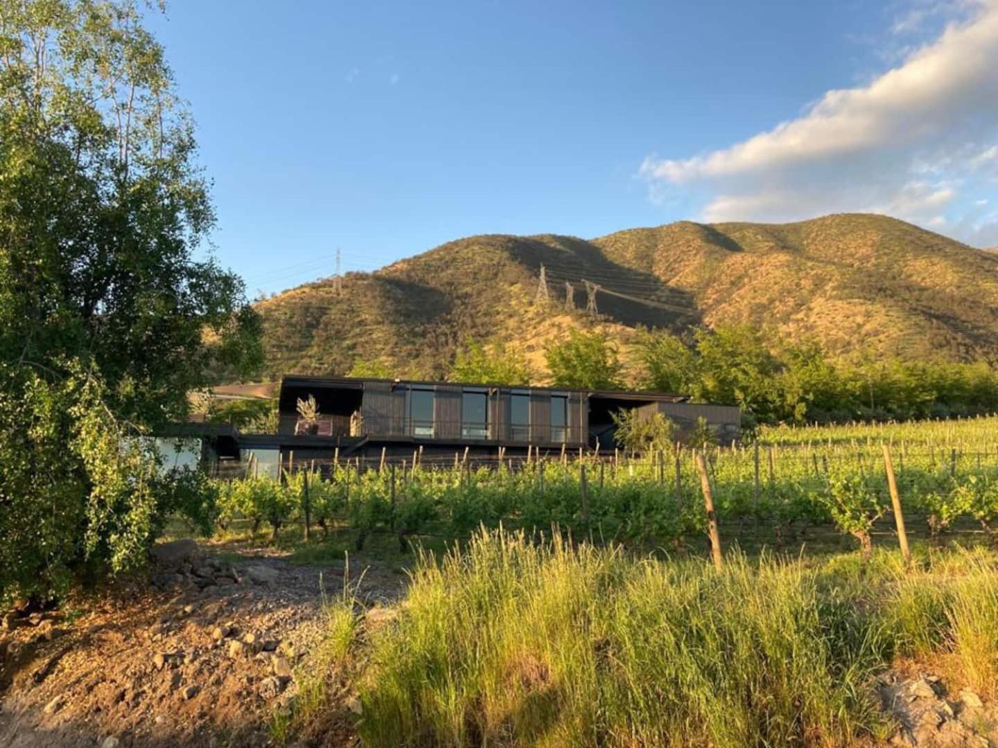 Vina Lof - Maipo Valley Bed & Breakfast In Winery Paine Exteriör bild